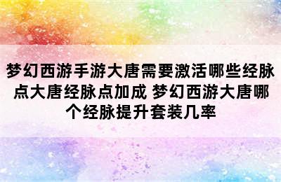 梦幻西游手游大唐需要激活哪些经脉点大唐经脉点加成 梦幻西游大唐哪个经脉提升套装几率